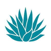Agave
